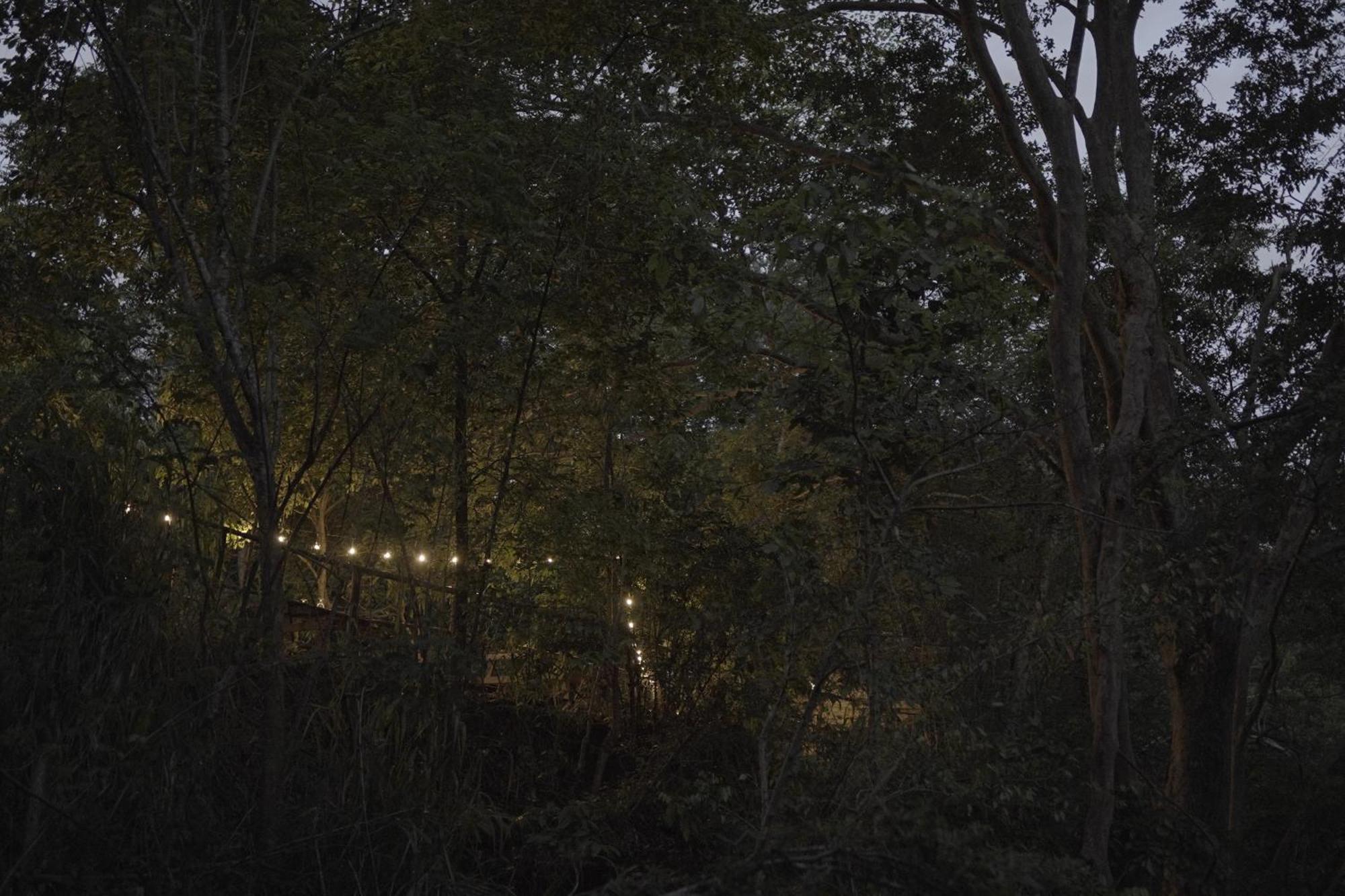 River Glamping By Gaga Bees Udawalawe Εξωτερικό φωτογραφία