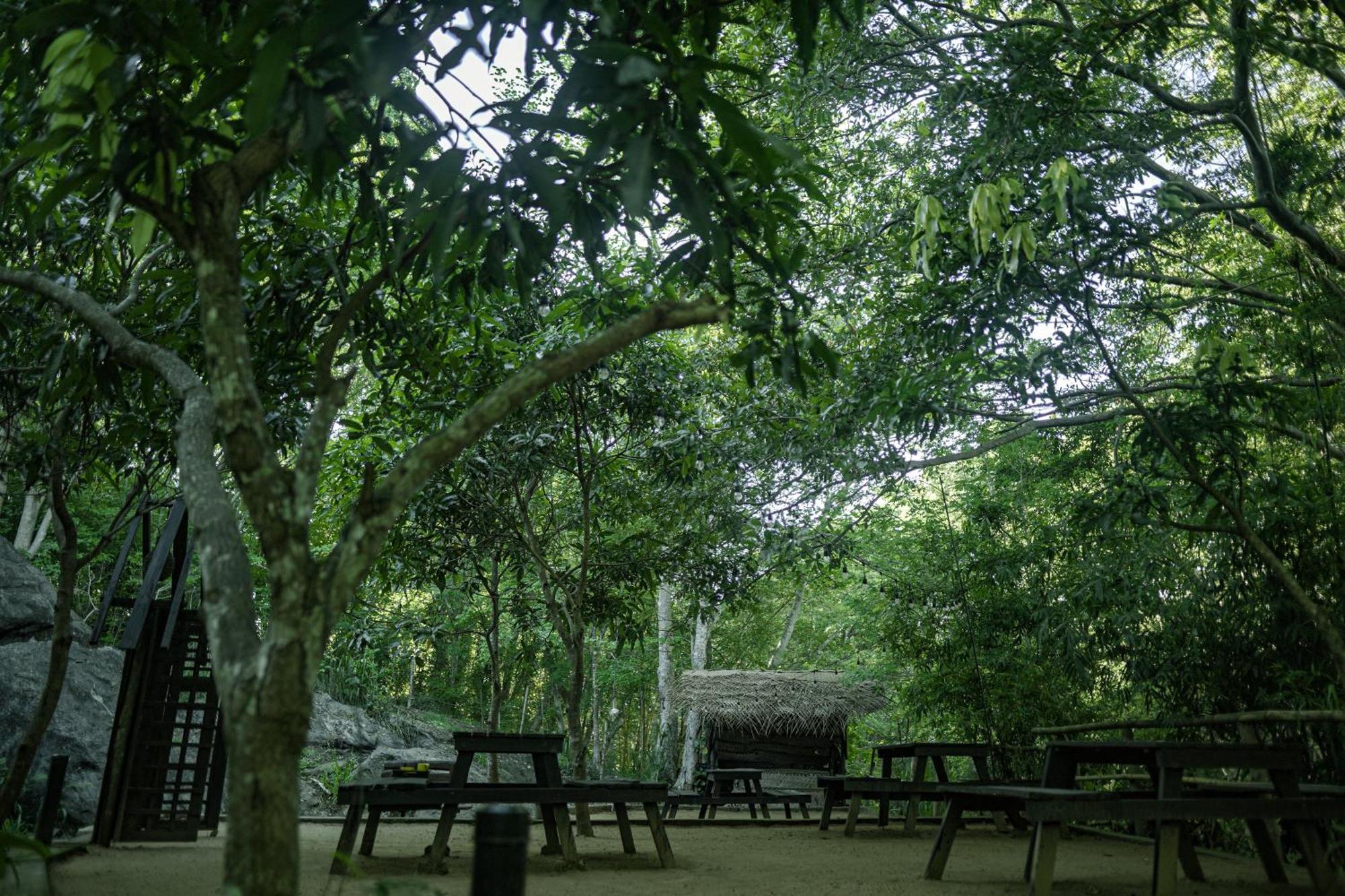 River Glamping By Gaga Bees Udawalawe Εξωτερικό φωτογραφία