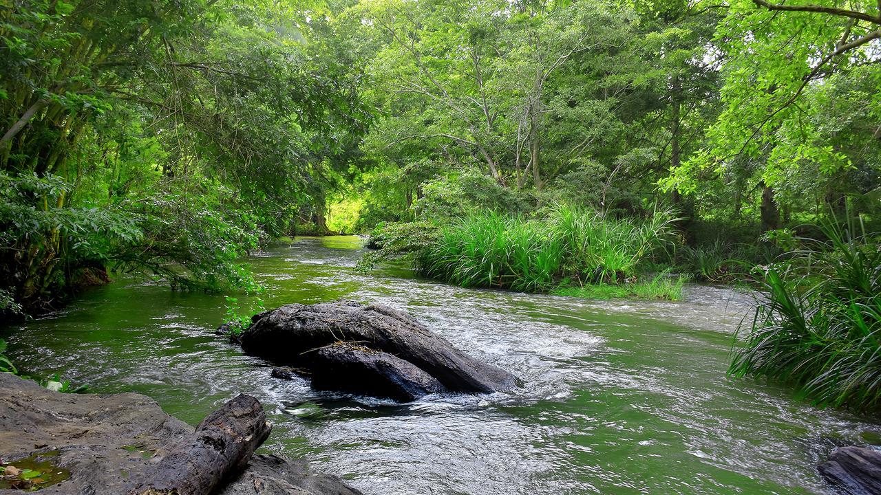 River Glamping By Gaga Bees Udawalawe Εξωτερικό φωτογραφία